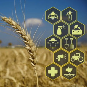 Veenyela Foundation Veenyela Foundation