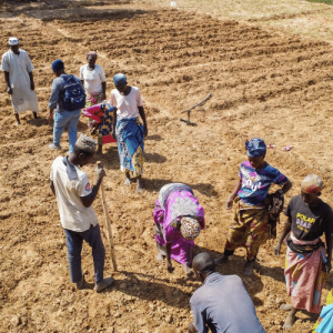 Veenyela Foundation Veenyela Foundation